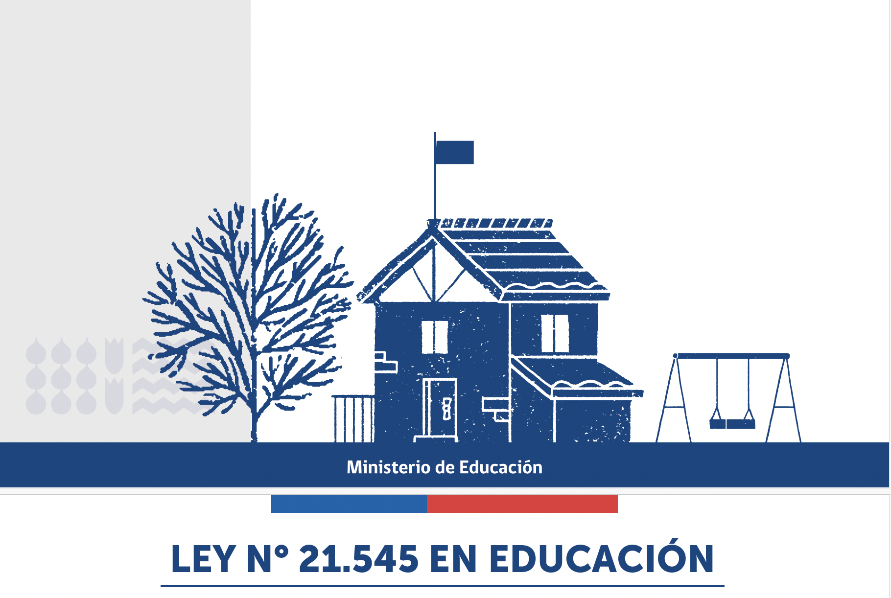 Ley N° 21.545 en Educación