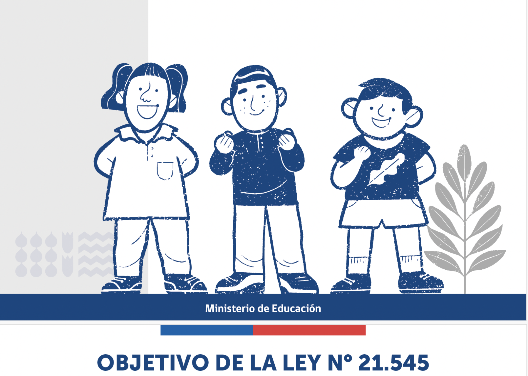 Objetivo de la Ley N° 21.545